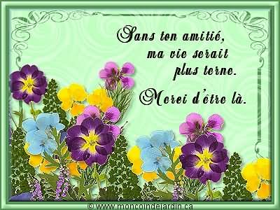 Mon plus beau No�l